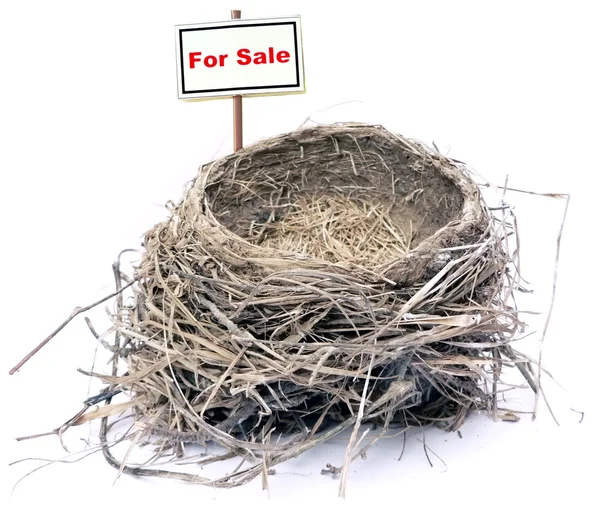 Vogel nest - onroerend goed ' 08 — Stockfoto