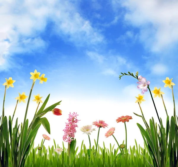 Spring garden scenery — Stock Photo, Image