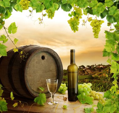 Wine, grapes, grapevine and vineyard clipart