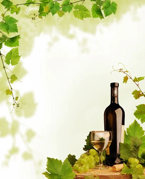 葡萄酒和葡萄的设计 — 图库照片
