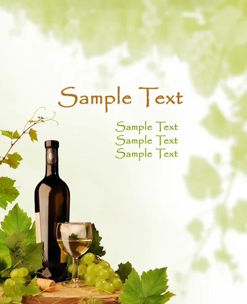Şarap ve grapevine tasarım — Stok fotoğraf