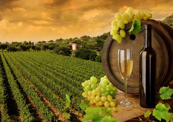 Wijn, druiven en zonsondergang wijngaard Stockfoto