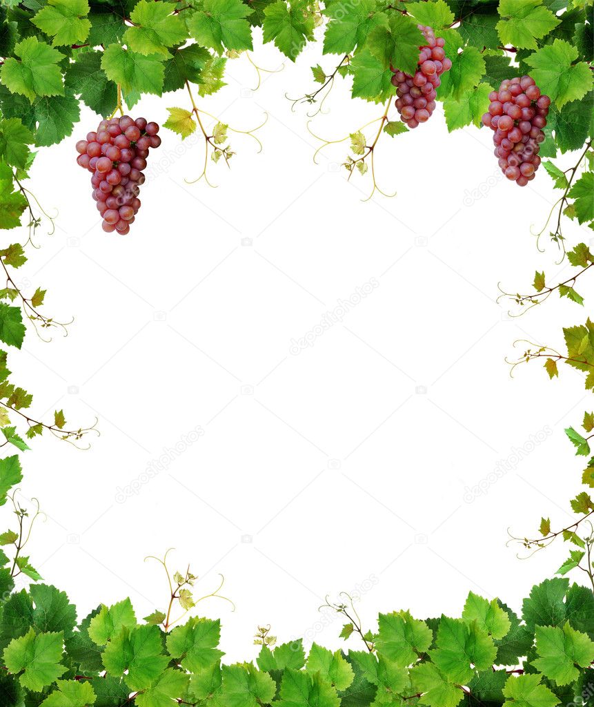 Grapevine frame with pink grapes