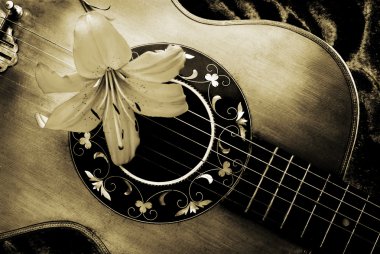 Vintage guitar with lily clipart