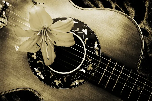 Vintage guitar with lily — Stock Photo, Image