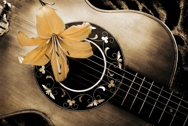 Vintage gitaar en lily — Stockfoto