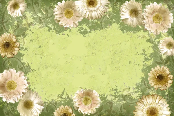 Grunge 花卉边框 — 图库照片