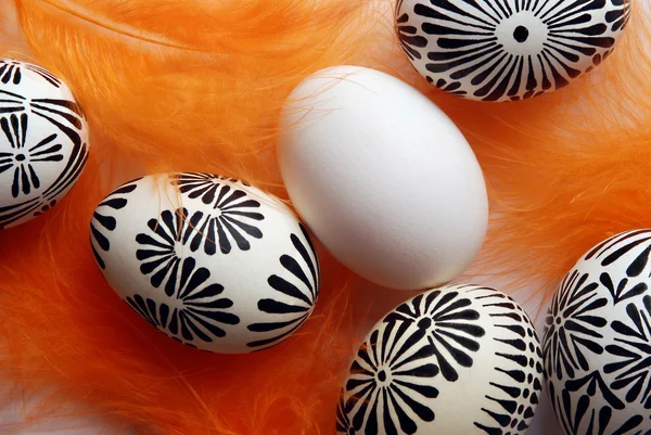 stock image Easter eggs with feathers