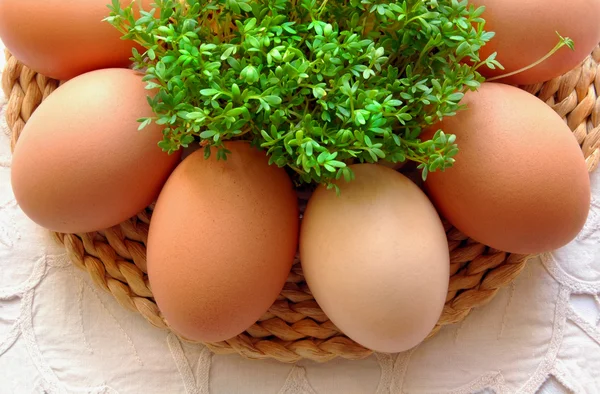 stock image Eggs and cress