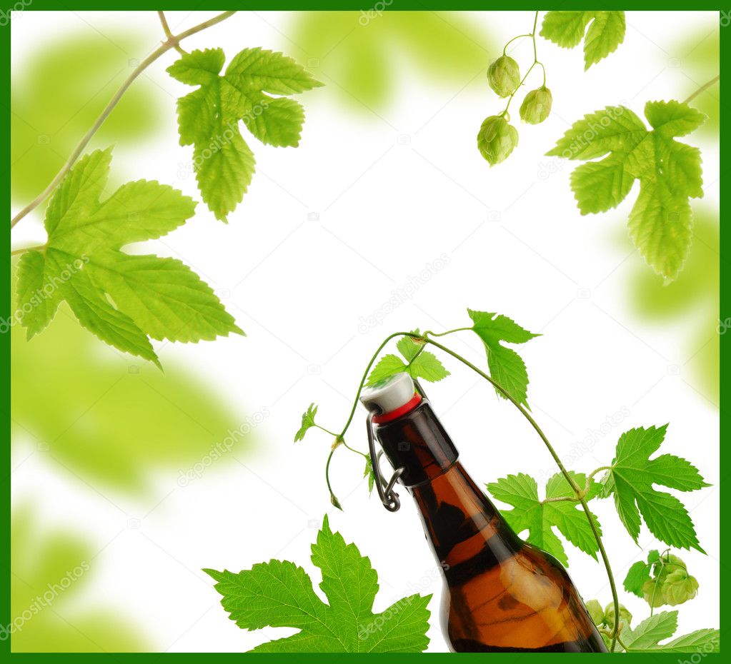 Design of beer and hops