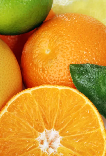 柑橘类水果的详细信息 — 图库照片