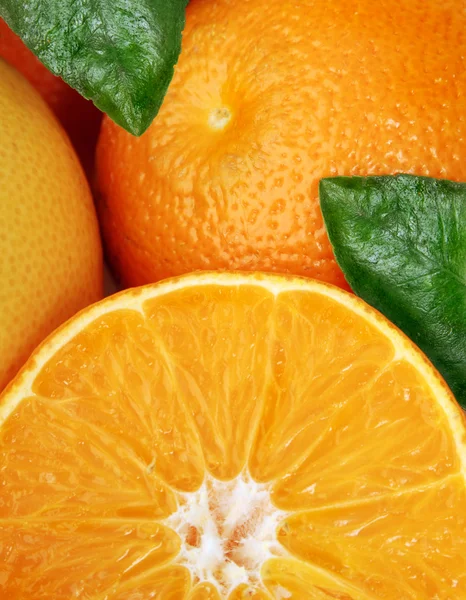 Detalhe da fruta laranja — Fotografia de Stock
