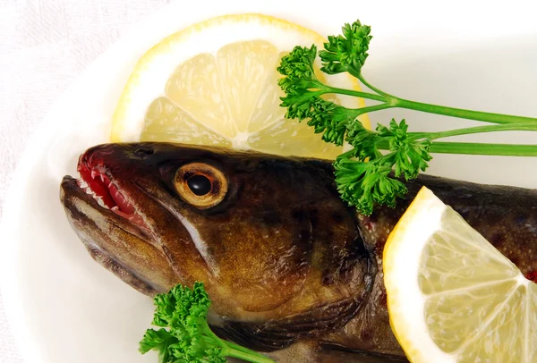 หัวปลาเทราท์ดิบ — ภาพถ่ายสต็อก