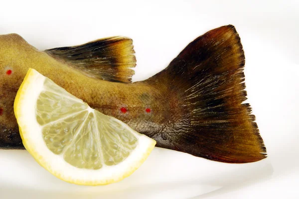 หางปลาเทราท์ — ภาพถ่ายสต็อก