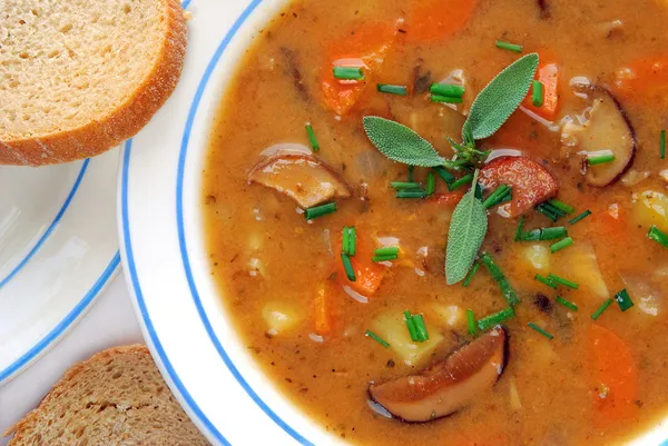 Картопляний суп в деталях — стокове фото