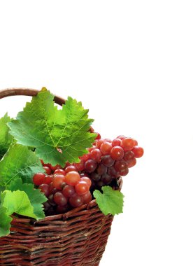 Pink grapes in basket clipart