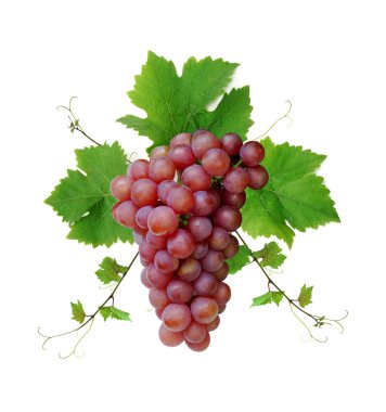 Decorative fresh pink grape