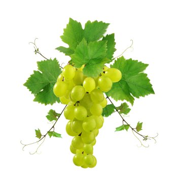 Decorative grape cluster clipart