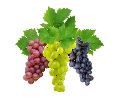 Three fresh decorative grapes clipart