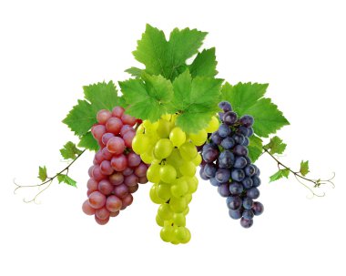 Three decorative grapes clipart