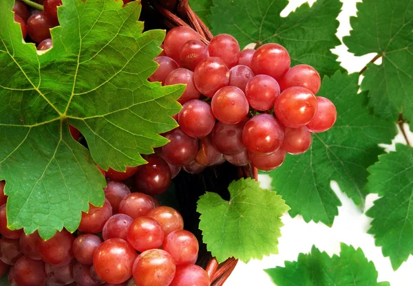 Druiven in mand in detail — Stockfoto