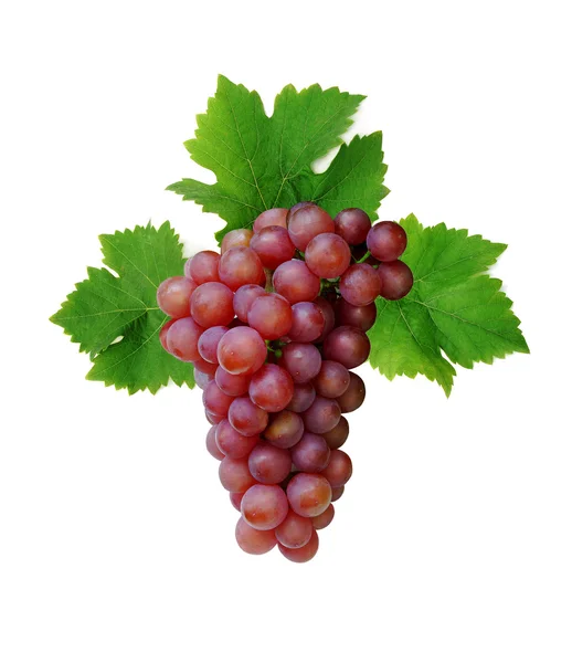 Ozdobny świeżych winogron różowy — Zdjęcie stockowe