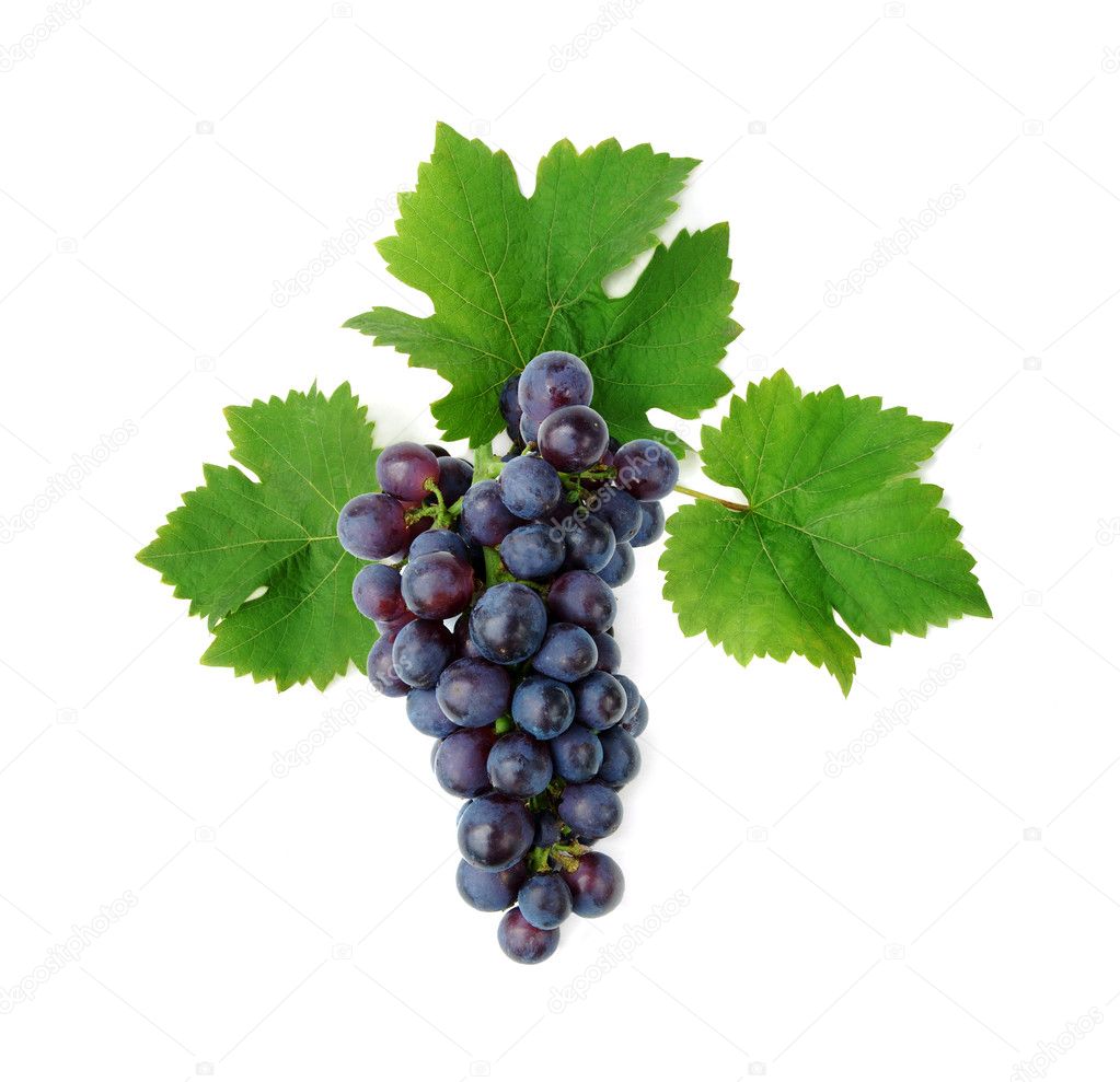 Decorative blue grape