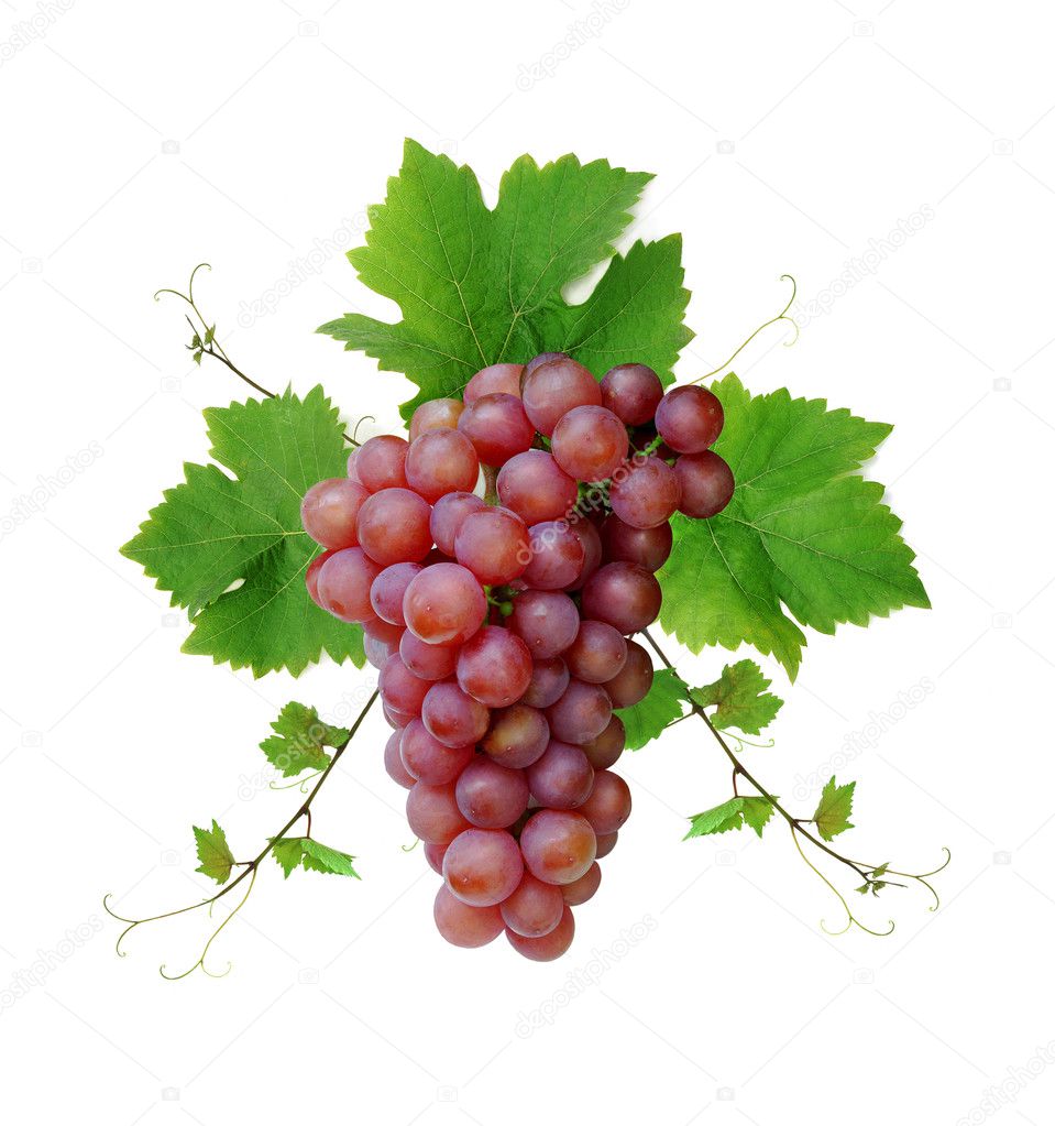Decorative fresh pink grape
