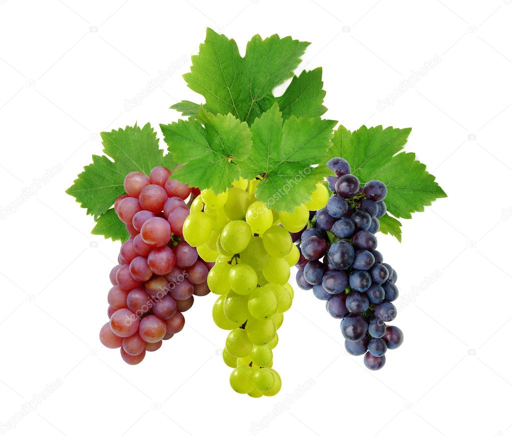 Three fresh decorative grapes