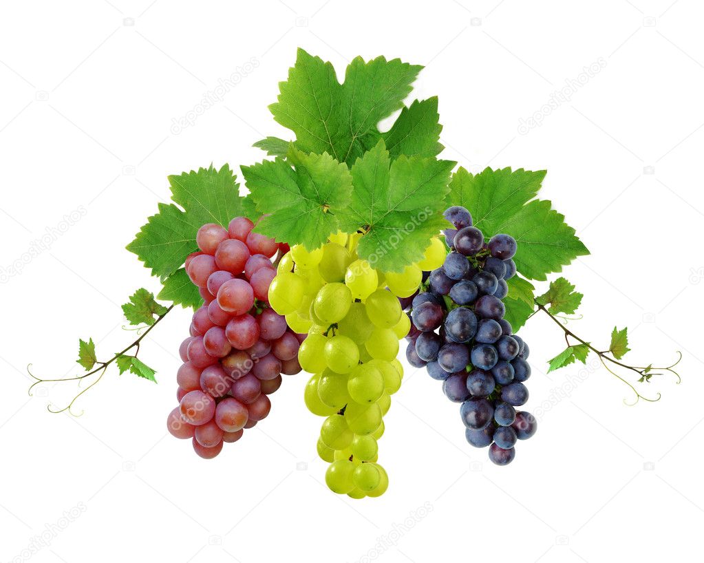 Three decorative grapes
