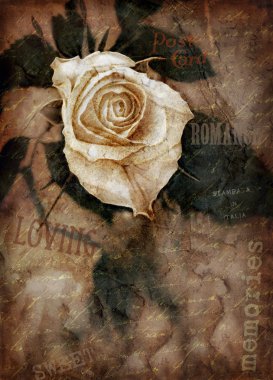 Grungy rose clipart