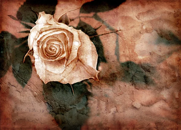 Роза в грандиозном стиле — стоковое фото