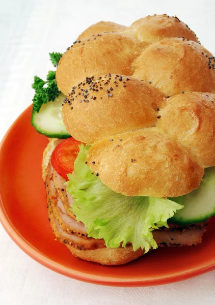 A húst, a vörös tányér szendvics — Stock Fotó