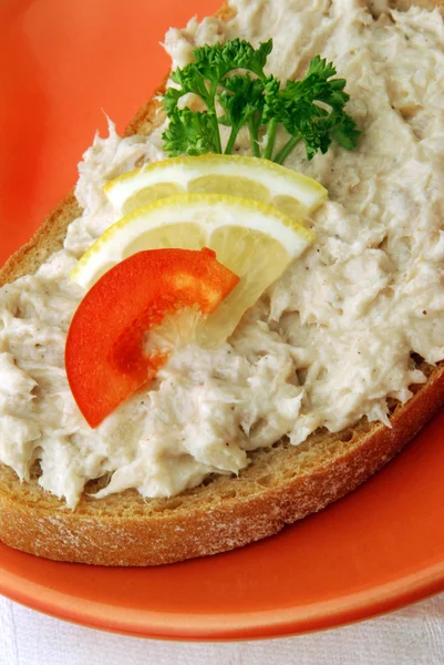 Tuna fish spread on red plate — Stock Photo, Image