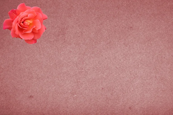 Zdobione papieru z czerwona róża — Zdjęcie stockowe