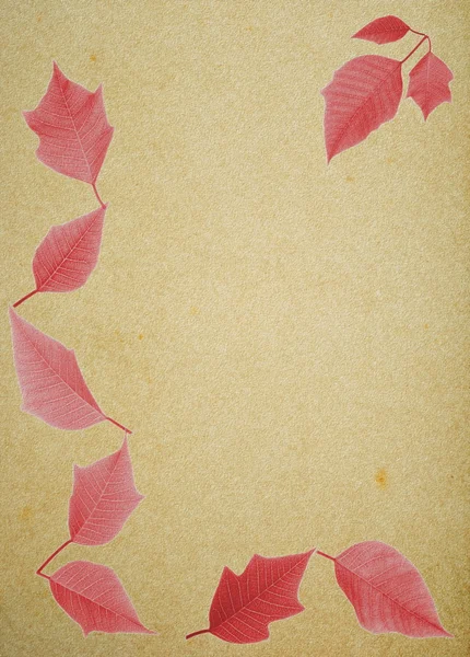 Hintergrund mit roten Blättern — Stockfoto