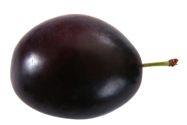 Single big plum — Stock Photo, Image