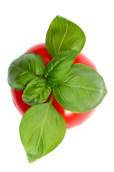 Verse basilicum en tomaat — Stockfoto