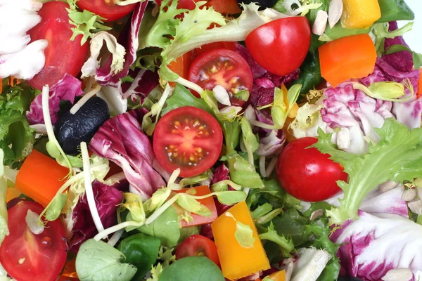 Fresh spring vegetables salad mix — Stock Photo, Image