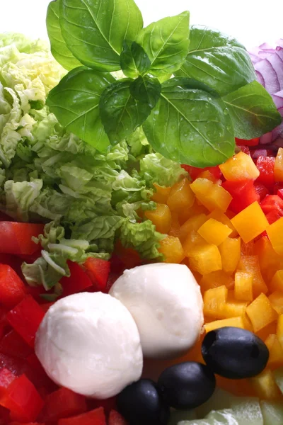 Färgglada färsk sallad är ingredienser — Stockfoto