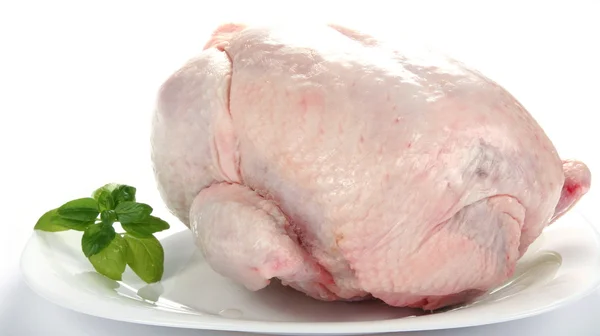 プレーン テキスト冷凍鶏肉 — ストック写真