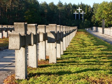 Old military cemetery clipart