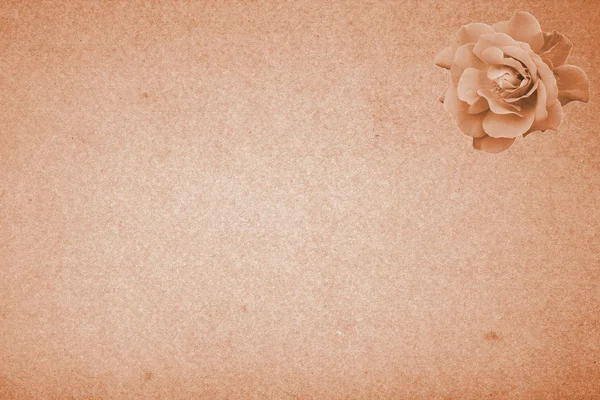 Papír s růží, lisované — Stock fotografie