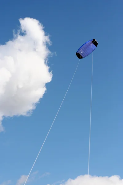 空の凧 — ストック写真