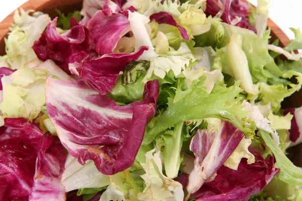 Čerstvý jarní salát mix — Stock fotografie