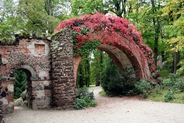 Stock image Beautiful old park