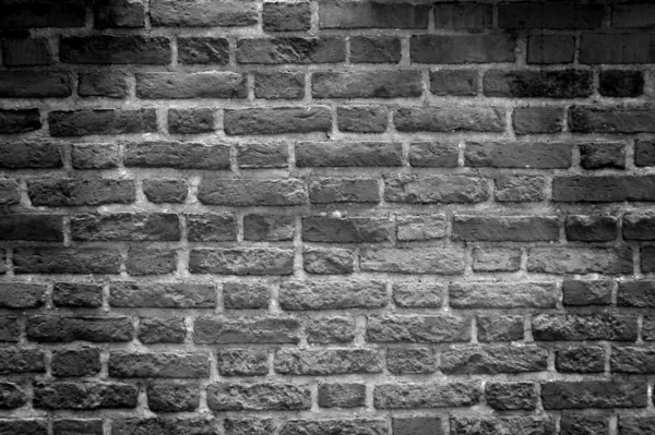 Noir & blanc ton, mur de briques — Photo