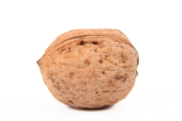 Один большой грецкий орех — стоковое фото