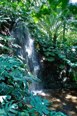 Jungle Waterfall