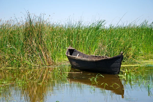 Stock image Boat